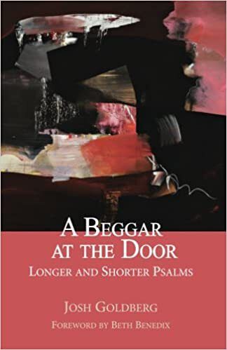 Book A Beggar at the Door by Tucson abstract artist Josh Goldberg