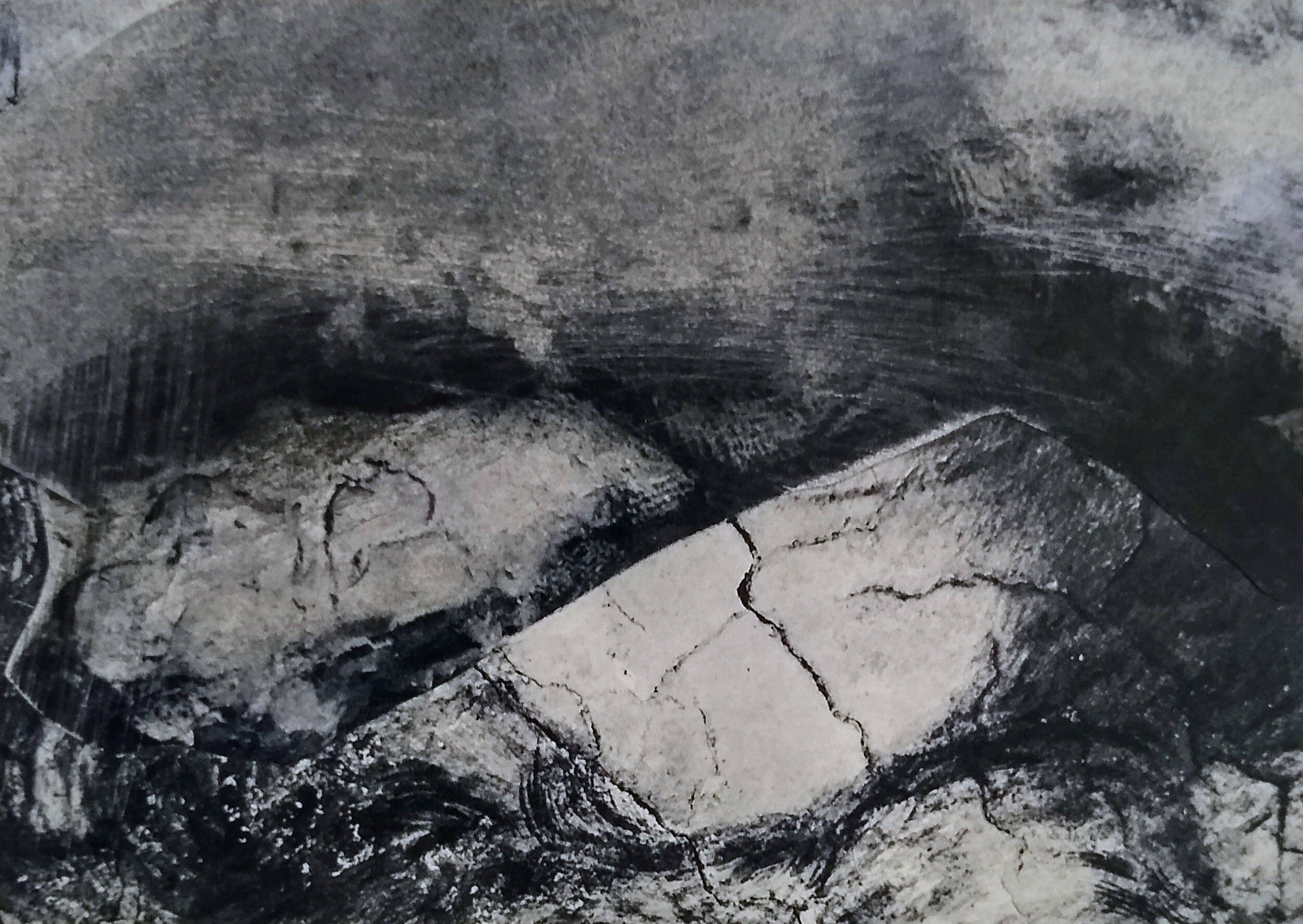 A Natural History of Art