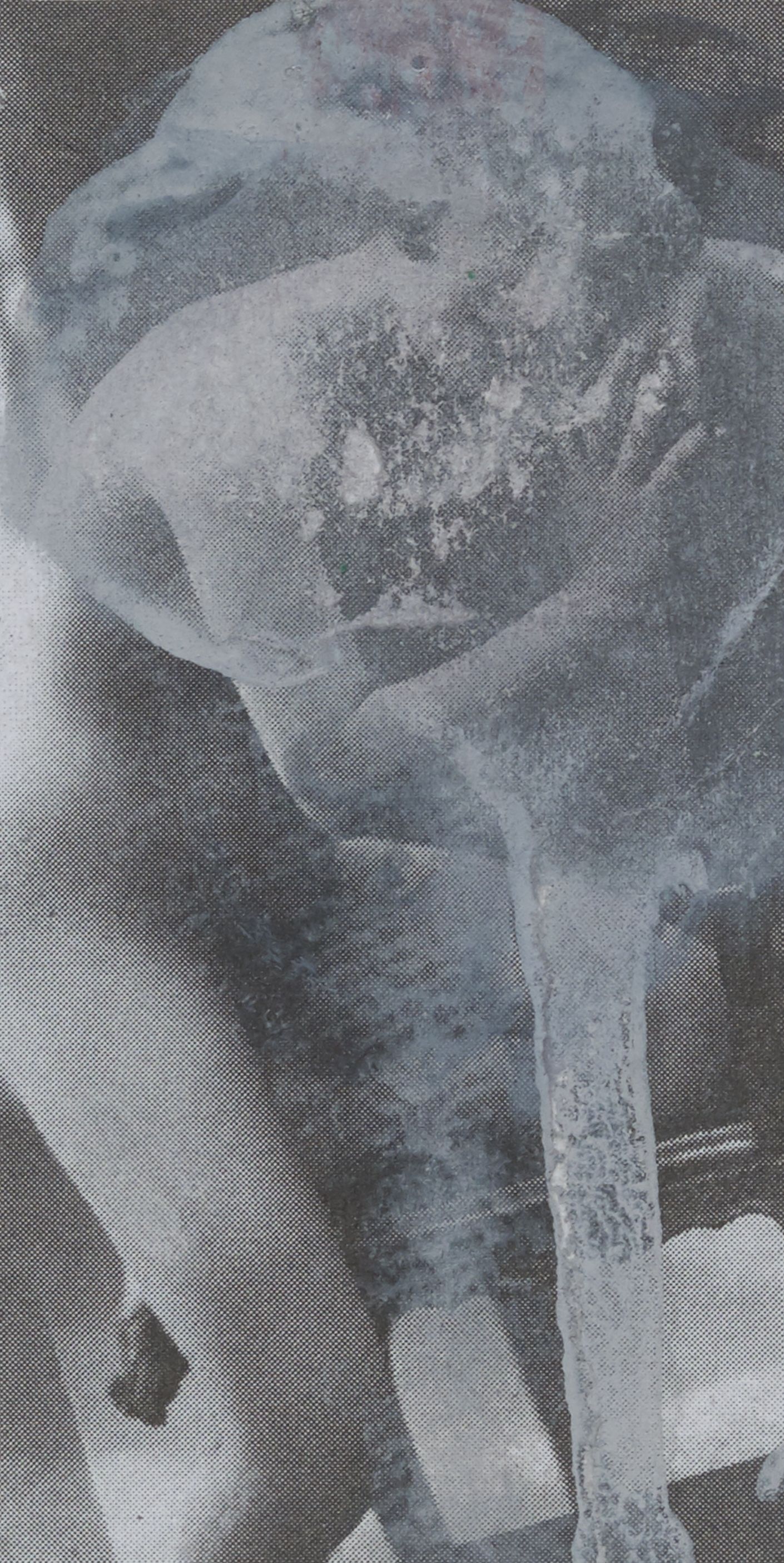 Abstract Prints & Collages, Collage on Paper, 12 × 15.75 inches — by Tucson artist Josh Goldberg