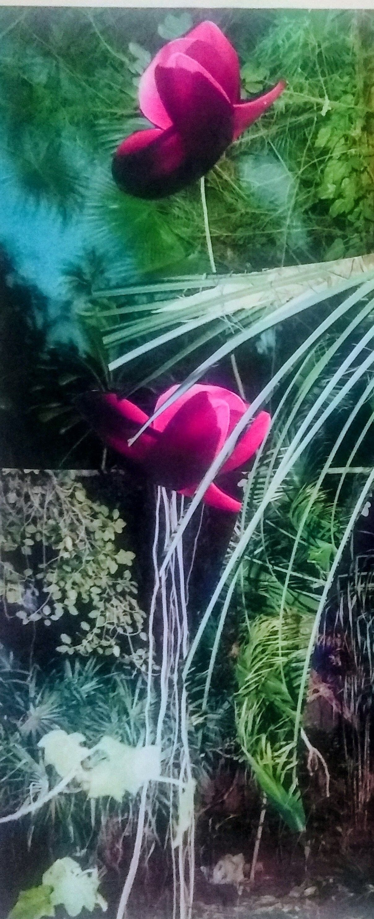 The Sad Still Life of Tulips